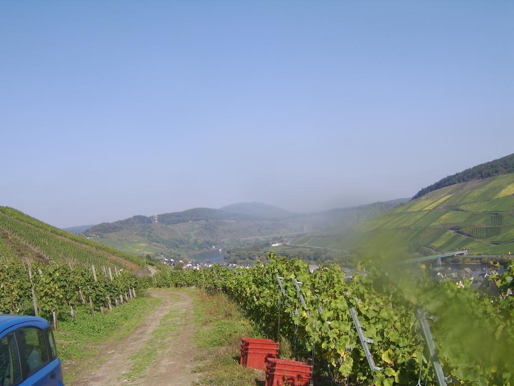 Ferienwohnung Weingut Matthias Dauns Reil Exterior foto