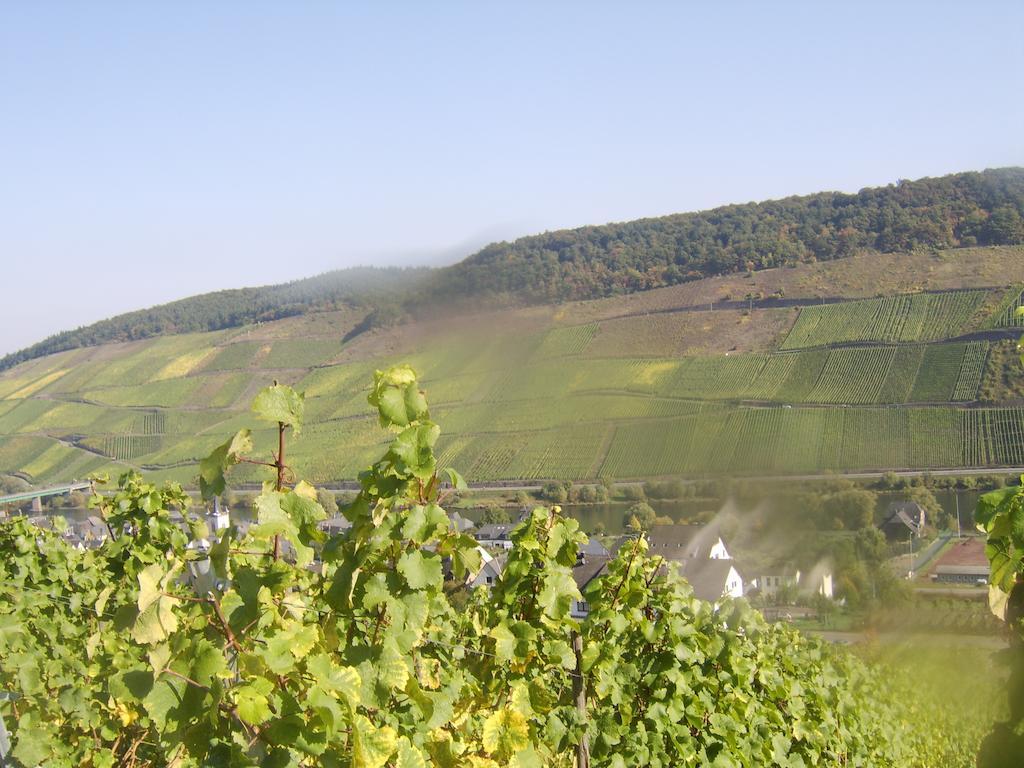 Ferienwohnung Weingut Matthias Dauns Reil Exterior foto