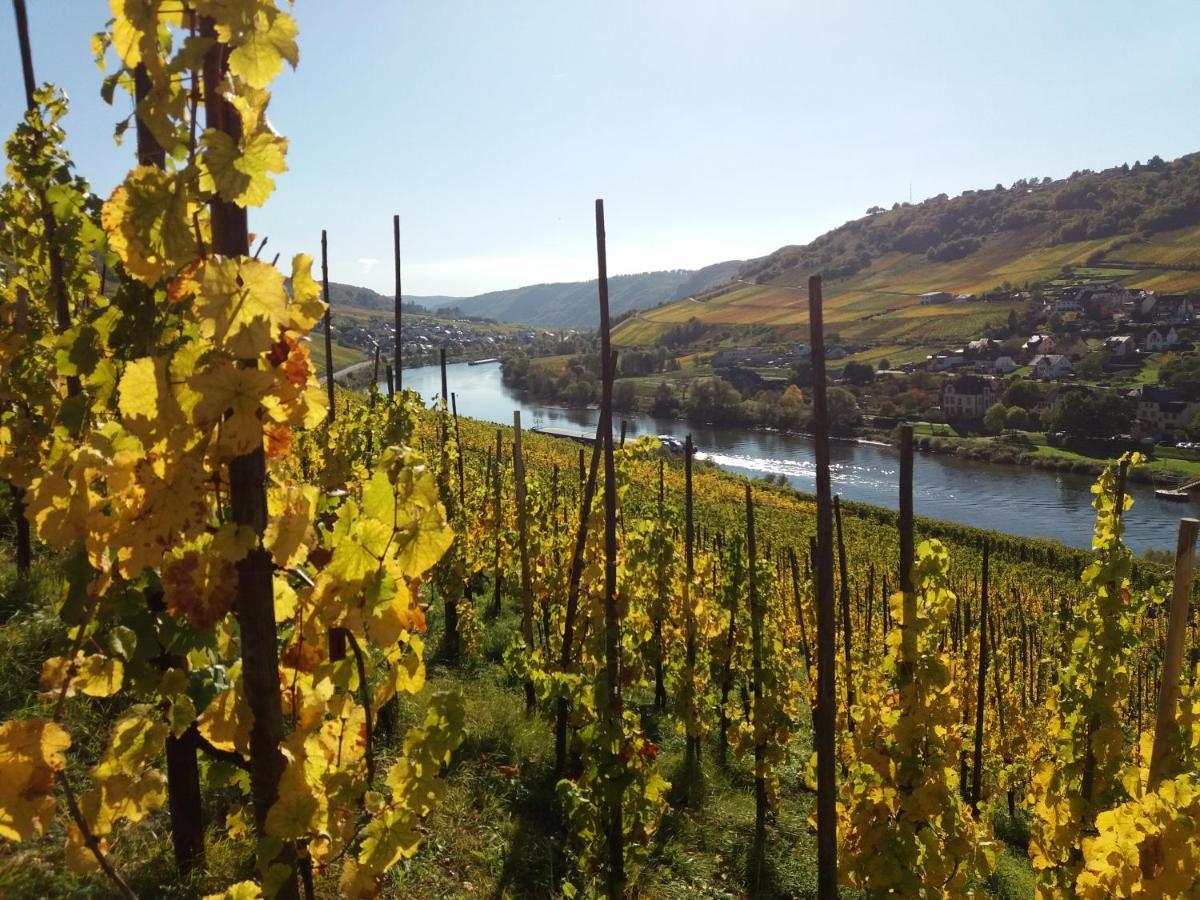 Ferienwohnung Weingut Matthias Dauns Reil Exterior foto