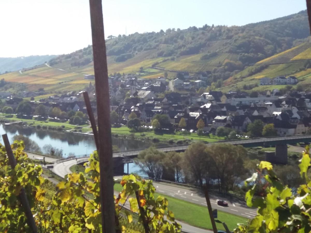 Ferienwohnung Weingut Matthias Dauns Reil Exterior foto